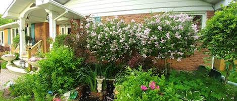 Terrein van de accommodatie