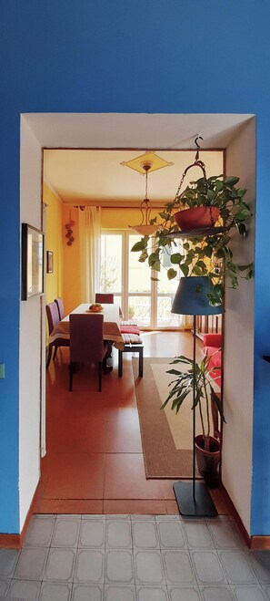 A dining area with a table and chairs, a hanging plant, and a view of the outside.