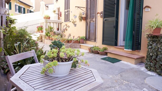 A wooden table with a potted plant in the center, surrounded by various potted plants and a bench. - Two-room apartment Piazza al Fico 2/4 Beds in the historic center of Portoferraio (PORTOFERRAIO)