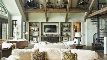 Televisio, takka, DVD-soitin, kirjoja