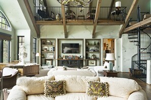 Télévision, cheminée, lecteur de DVD, livres