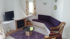 TV connectée, cheminée, lecteur de DVD, livres