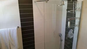 Combined shower/bathtub, hair dryer, bidet, towels
