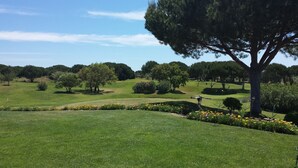 Camp de golf amb un arbre gran al primer pla, gespa ben cuidada i un cel blau clar.