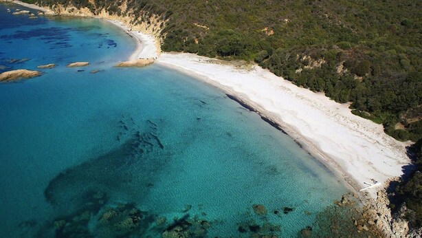 Eine Luftaufnahme eines Strandes mit klarem türkisfarbenem Wasser, weißem Sandstrand und dichter grüner Vegetation.