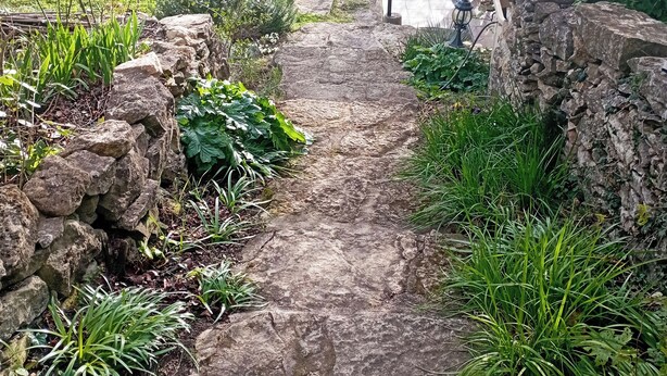 Un sendero de piedra que atraviesa un jardín con diversas plantas y un muro de piedra a un lado.