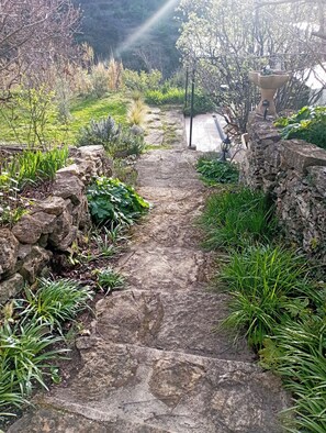 Un sendero de piedra que atraviesa un jardín con diversas plantas y un muro de piedra a un lado.