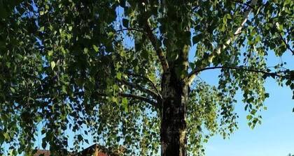 Cottages "Pod Sumakiem" brick house no. 5