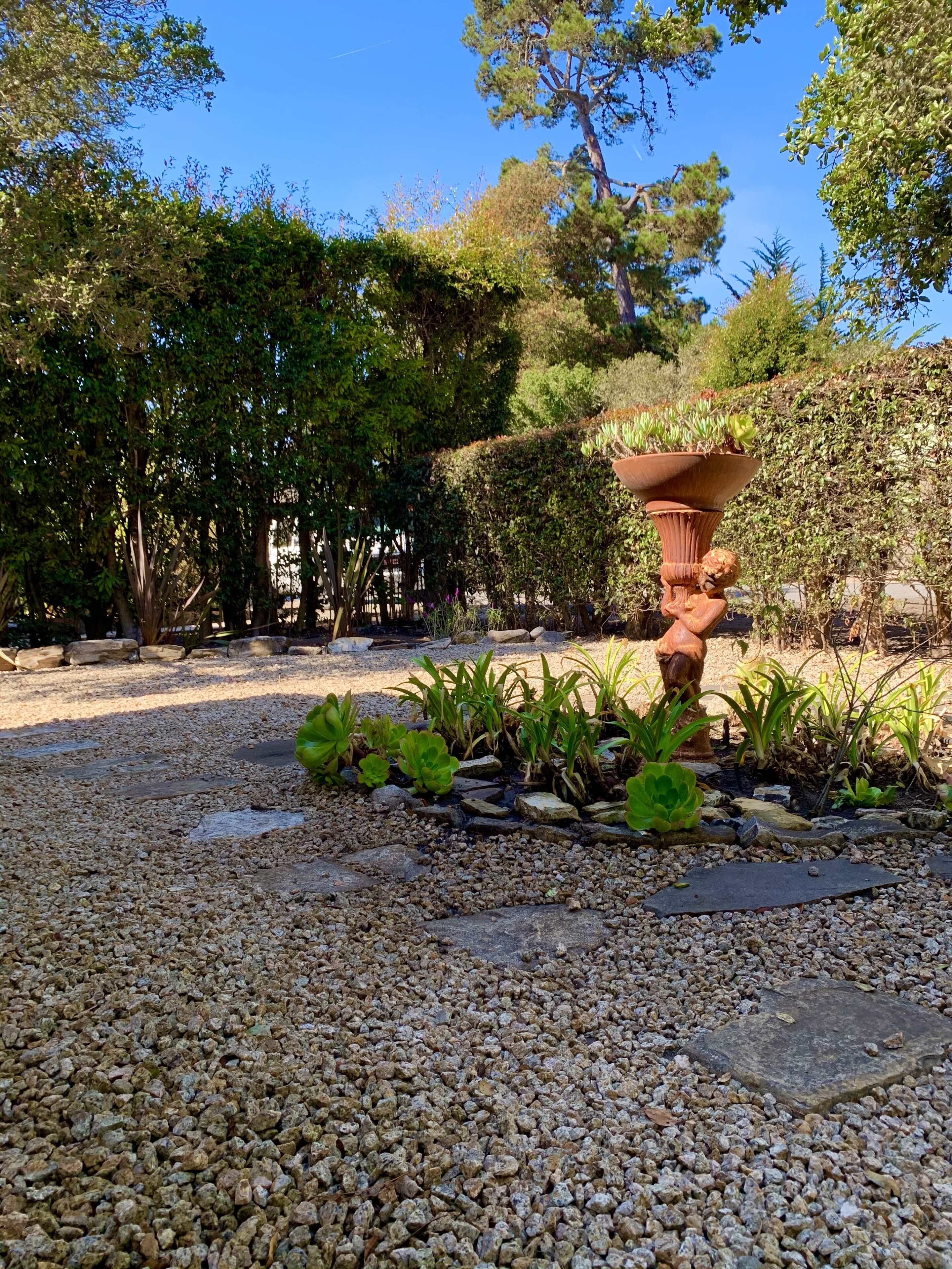 Un jardin agrémenté de diverses plantes, d’un vase décoratif et d’un sentier en pierre.
