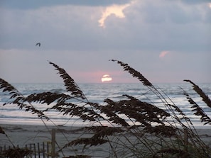 Enjoy a serene beach scene with gentle waves and a warm glow.