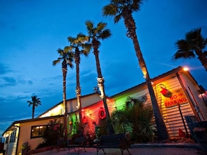Surrounded by palm trees, this building offers a lively atmosphere.
