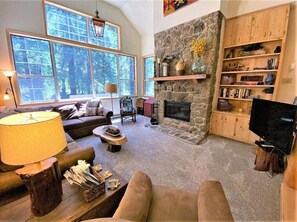 تلفزيون، مدفأة، ألعاب فيديو، مشغل دي في دي