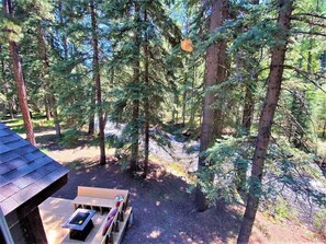 Property grounds - Pet Friendly Riverfront Cabin (Durango)