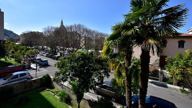 Straßenansicht mit geparkten Autos, Palmen und Gebäuden im Hintergrund.