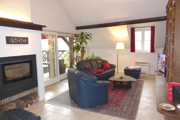 TV, fireplace, books, music library