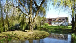 Un étang paisible, avec un grand arbre au premier plan, une pelouse bien entretenue et une maison en arrière-plan.