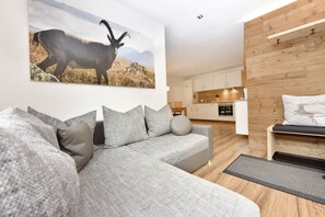 TV - New comfortable Feriewohnung with stunning views (Silbertal)