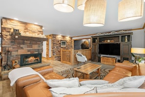 Smart TV, fireplace, books, stereo