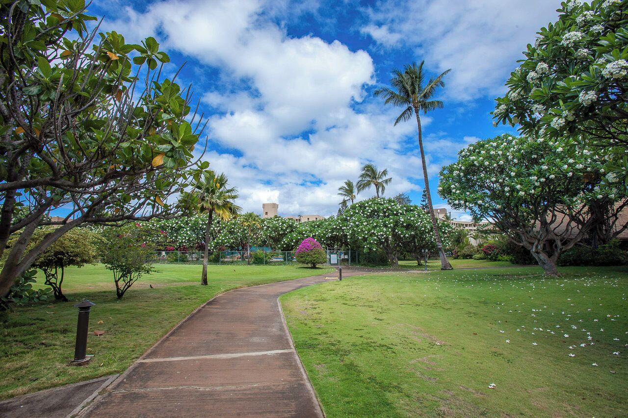 A pathway leading through a well-maintained garden with various trees and a clear sky.