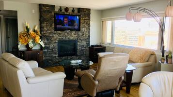 智能电视、壁炉、DVD 播放器、打印机