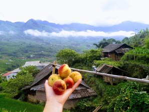 Land view from property - Surelee Homestay (Sa Pa)