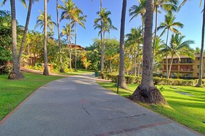 Property grounds - Casa Gato en los Tules (Puerto Vallarta)