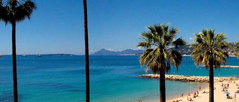 Plage à proximité, chaises longues, serviettes de plage