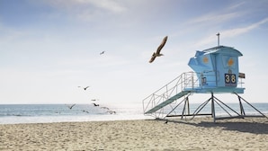 Une tour de surveillance sur une plage, portant le numéro 38, entourée de sable et de l’océan.