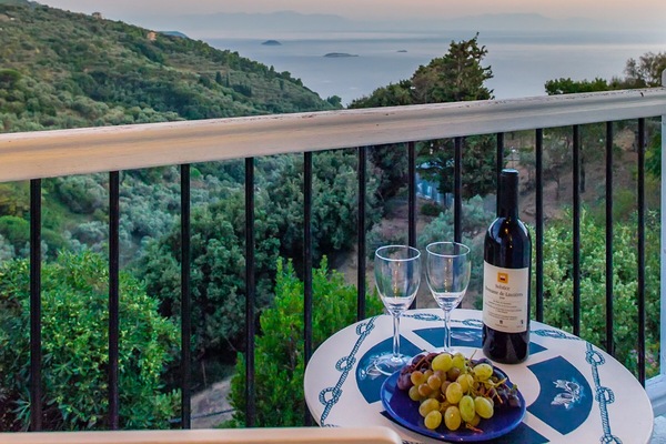 Wine with a view