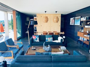 Télévision, cheminée, lecteur de DVD, livres