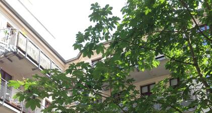 3-Zi-Apartment "Am Roßplatz", inkl. WLAN für bis 8 Personen mit Balkon u. Garage