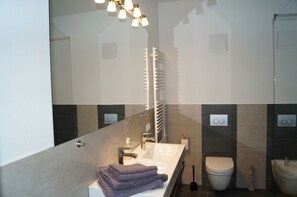 Shower, hair dryer, bidet, towels