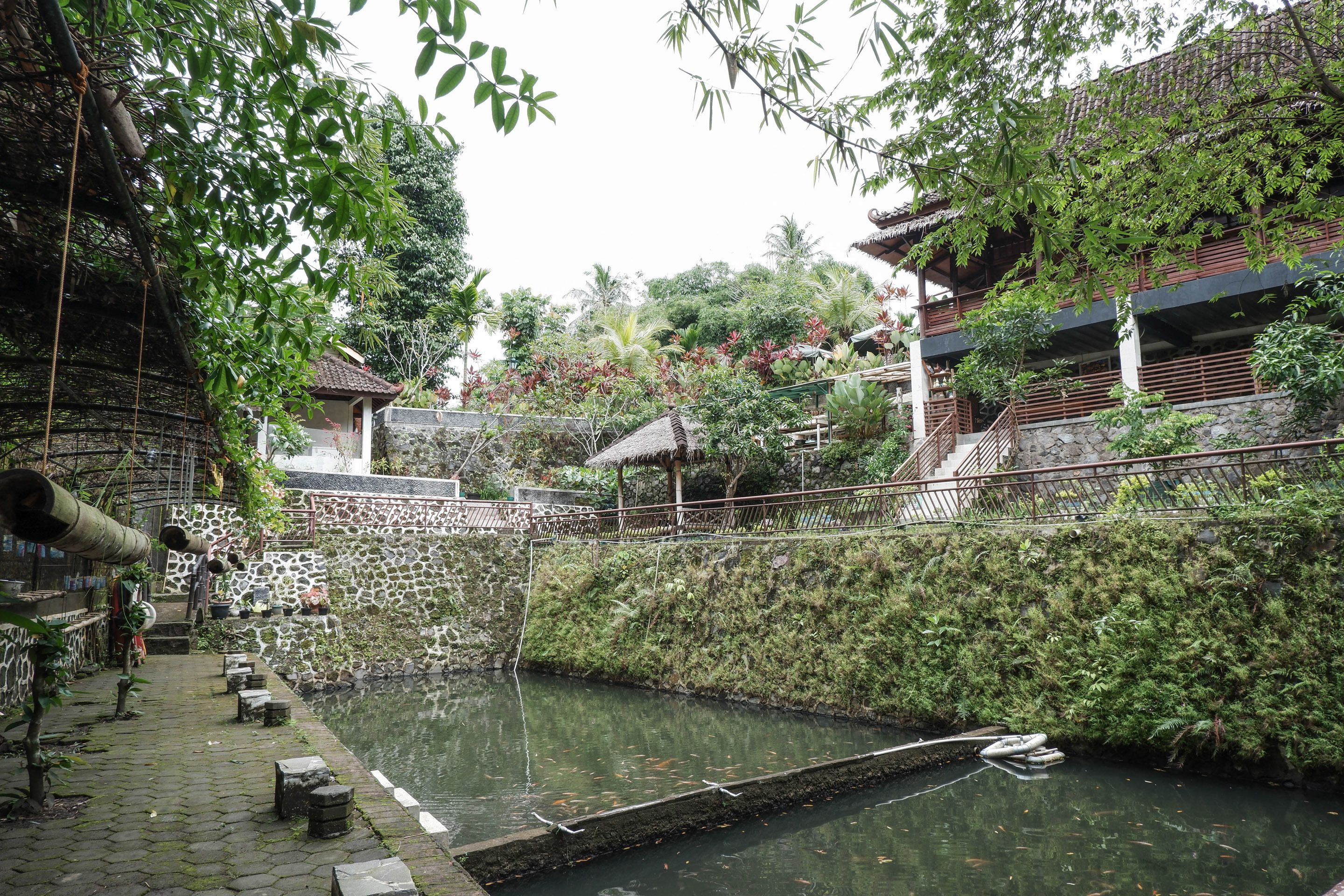 A traditional courtyard with a water feature, stone walls, and bamboo plants.