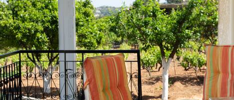 Overnattingsstedets uteområder