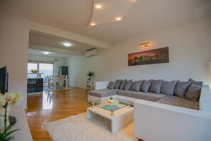 TV, DVD player - Villa Tea in Imotski, private pool (Zmijavci)