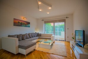 TV, DVD player - Villa Tea in Imotski, private pool (Zmijavci)