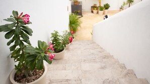 A staircase with potted plants on the sides. - HGTV Villa for Couples, 4-Min Walk to the Scuba Pick-up Pier (Cozumel)