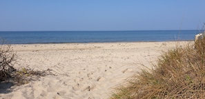 A sandy beach with clear blue water and sparse vegetation.