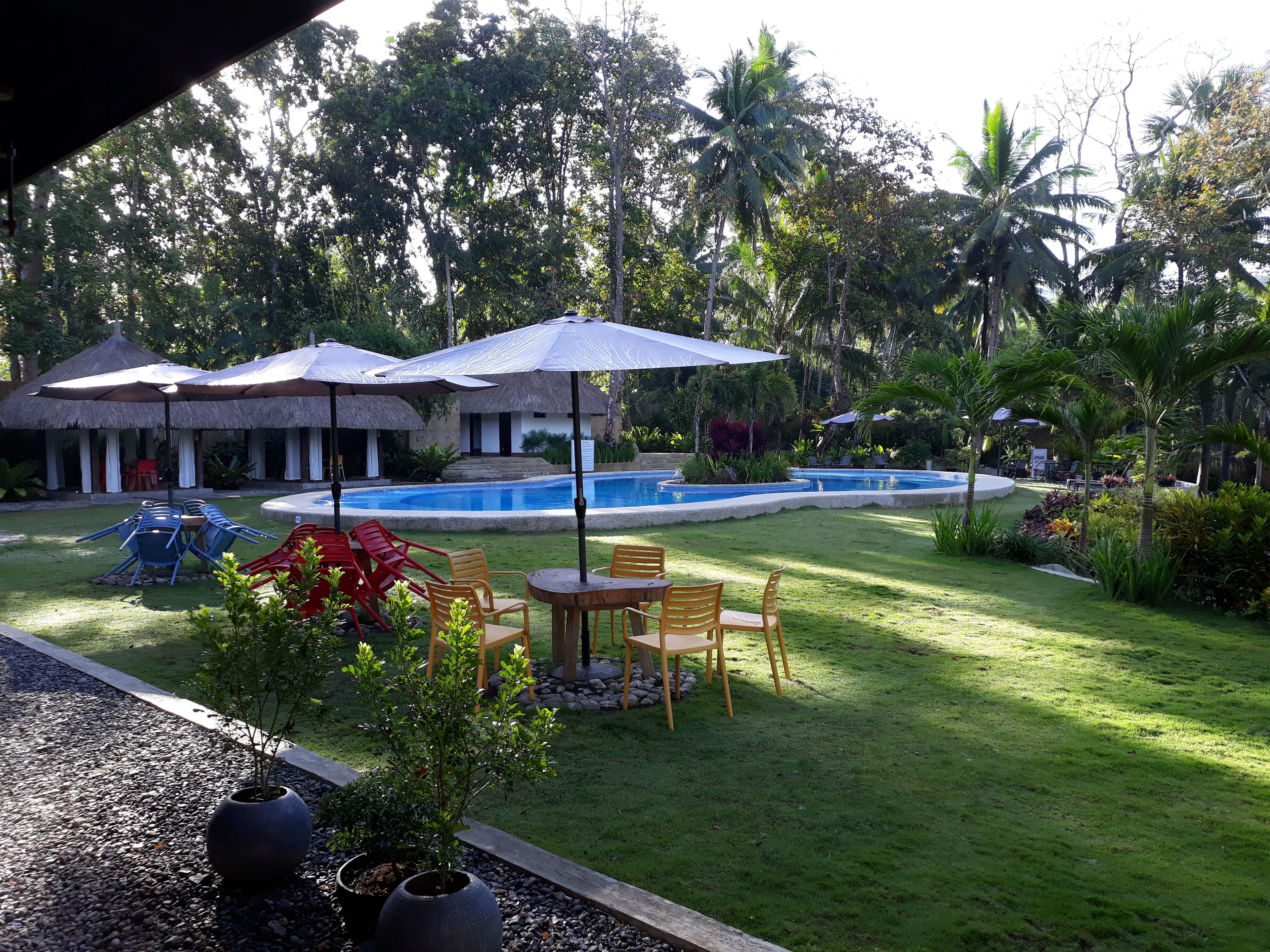 A pool area with lounge chairs and umbrellas, surrounded by lush greenery and palm trees.