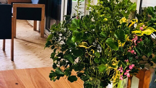Een houten tafel met een glazen vaas gevuld met verschillende groene planten en bloemen.