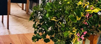 Paea's Guest House - subsidary of Tonga Holiday Villa