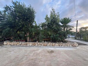 A paved outdoor area with a stone border, surrounded by various trees and plants.