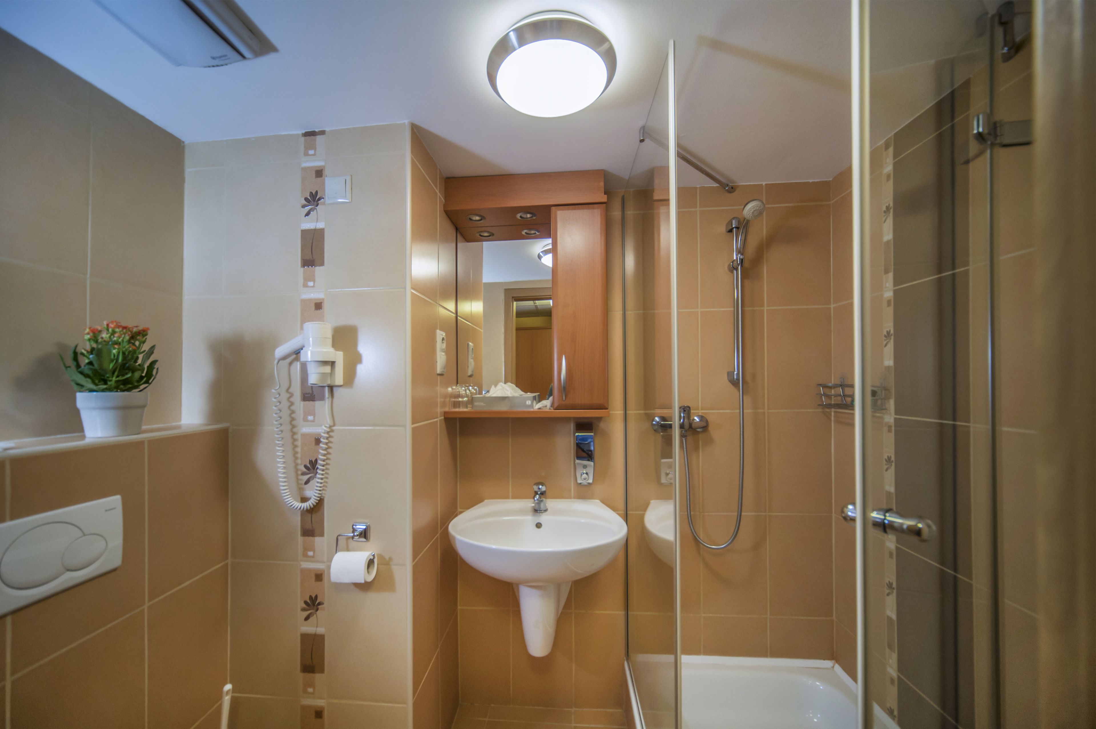A bathroom with a sink, mirror, shower, and toilet.