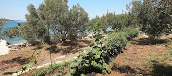 bori Homestay jika jo