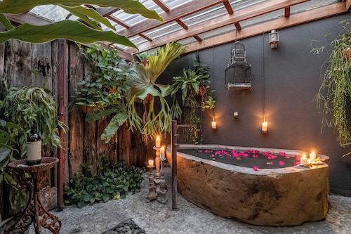 Maison de l'arbre du dragon Lennox Head / Byron Coast