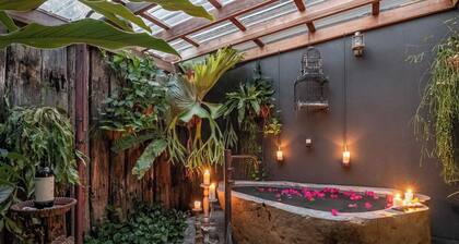 Maison de l'arbre du dragon Lennox Head / Byron Coast