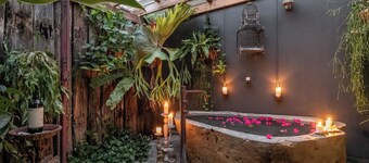 Dragon Tree House Lennox Head / Byron Coast