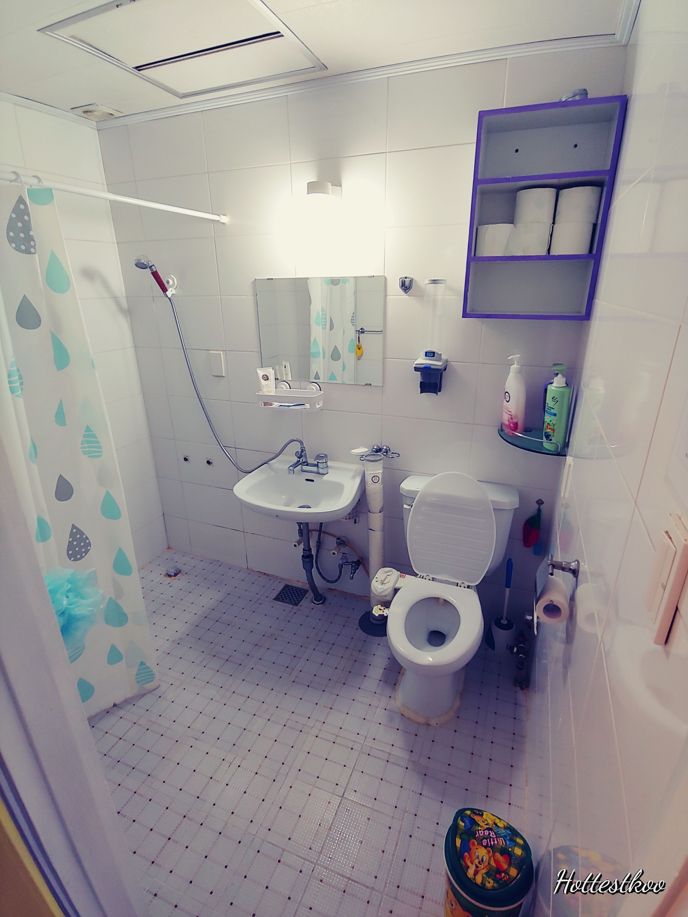 A bathroom with a shower, sink, toilet, and a shelf with toiletries.