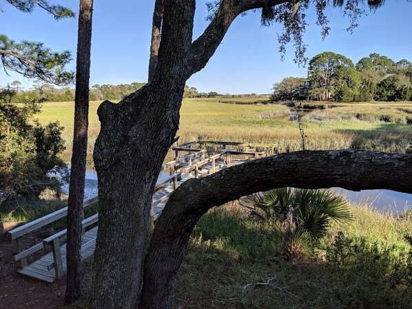 Step across the bridge to a serene waterfront oasis surrounded by lush greenery and tranquil views.