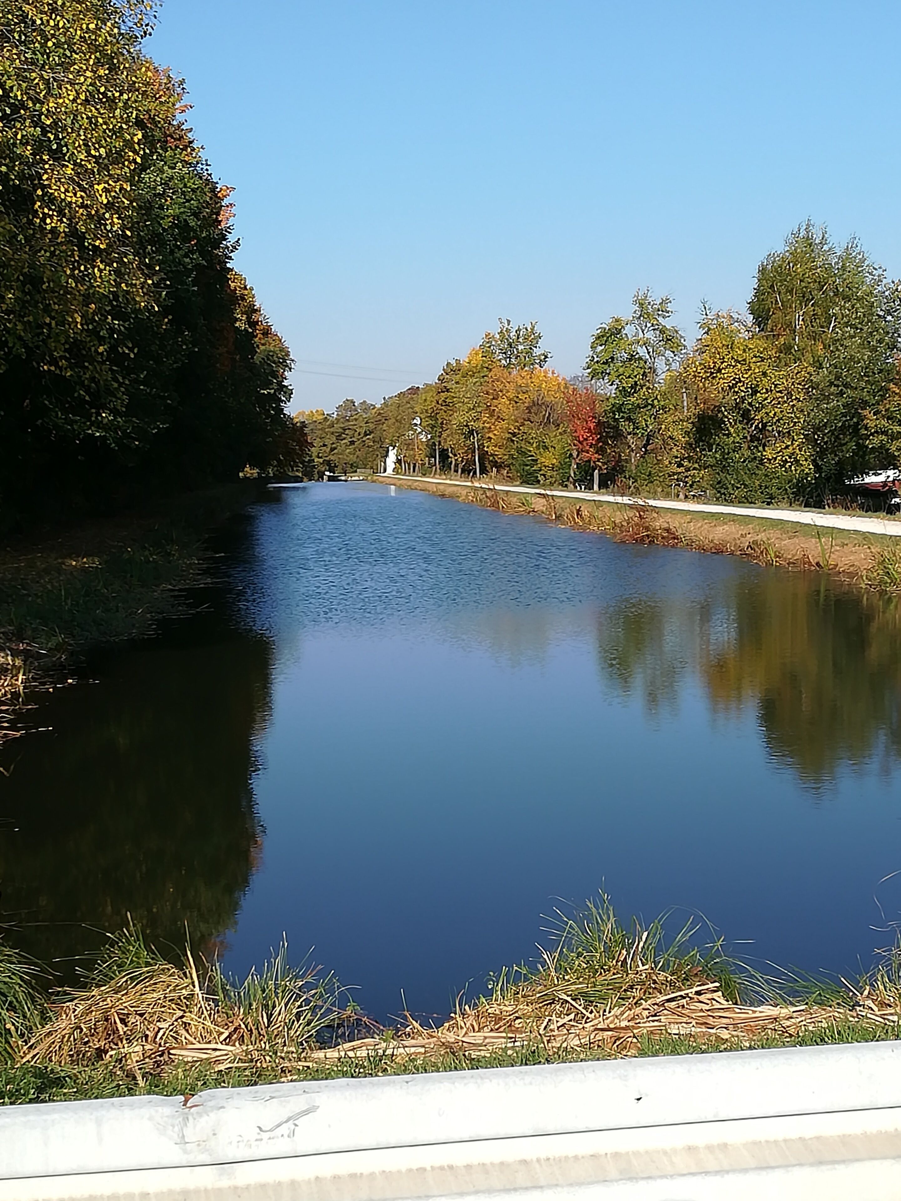 A calm river with trees on both sides, a clear sky, and a statue in the distance.